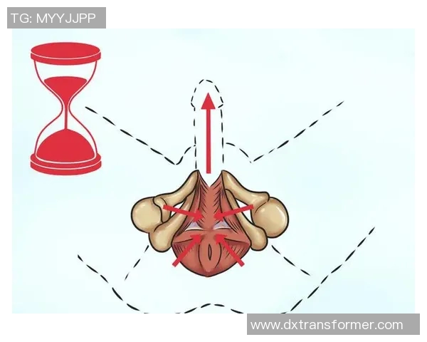 增强男性性能力的有效体育锻炼方法与技巧探讨