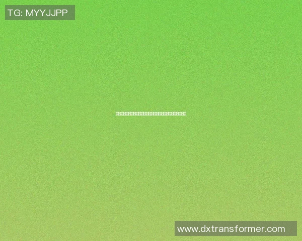靖西篮球明星名单及其精彩瞬间全记录，见证他们的辉煌与努力